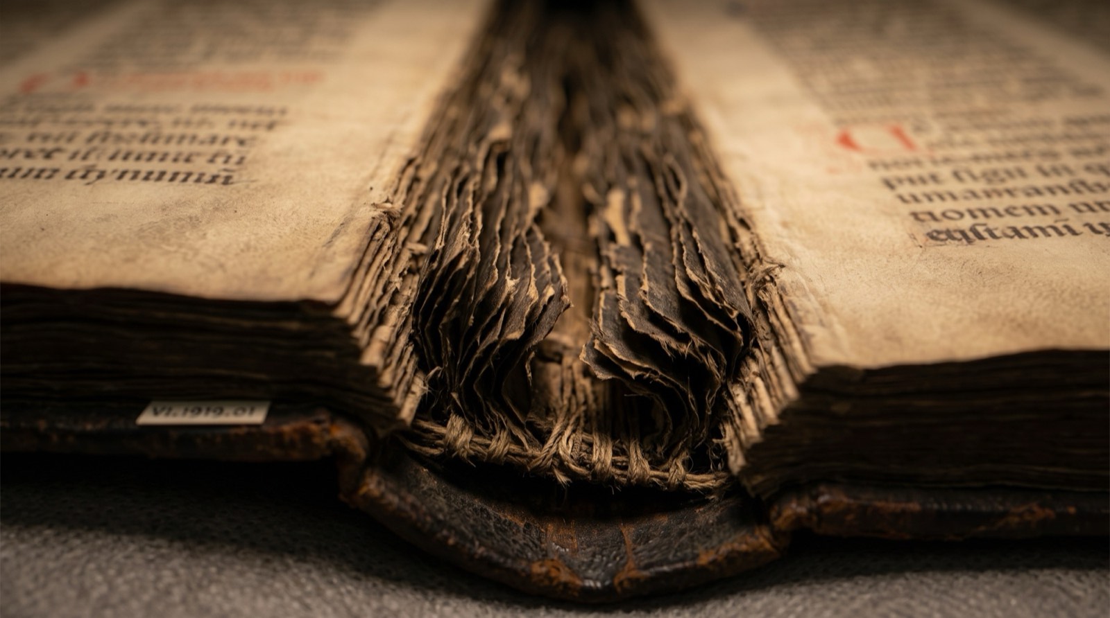 An opened blackened register showing the sewn gutter, where a run of leaves has been cut away close to the binding; the stubs remain.